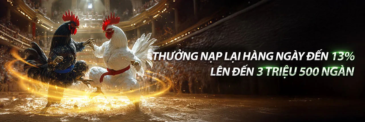 Cá cược Thể Thao tại 55vin nhà cái