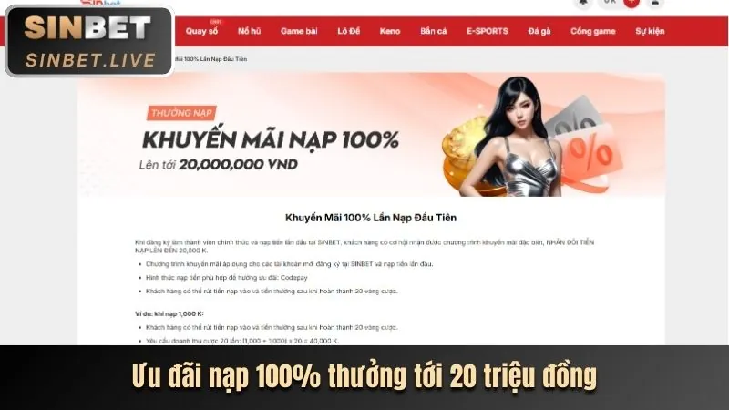 Chương trình VIP độc quyền của 55vin nhà cái